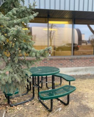 Outdoor bench and tree at Glenmore Centre - Calgary, AB
